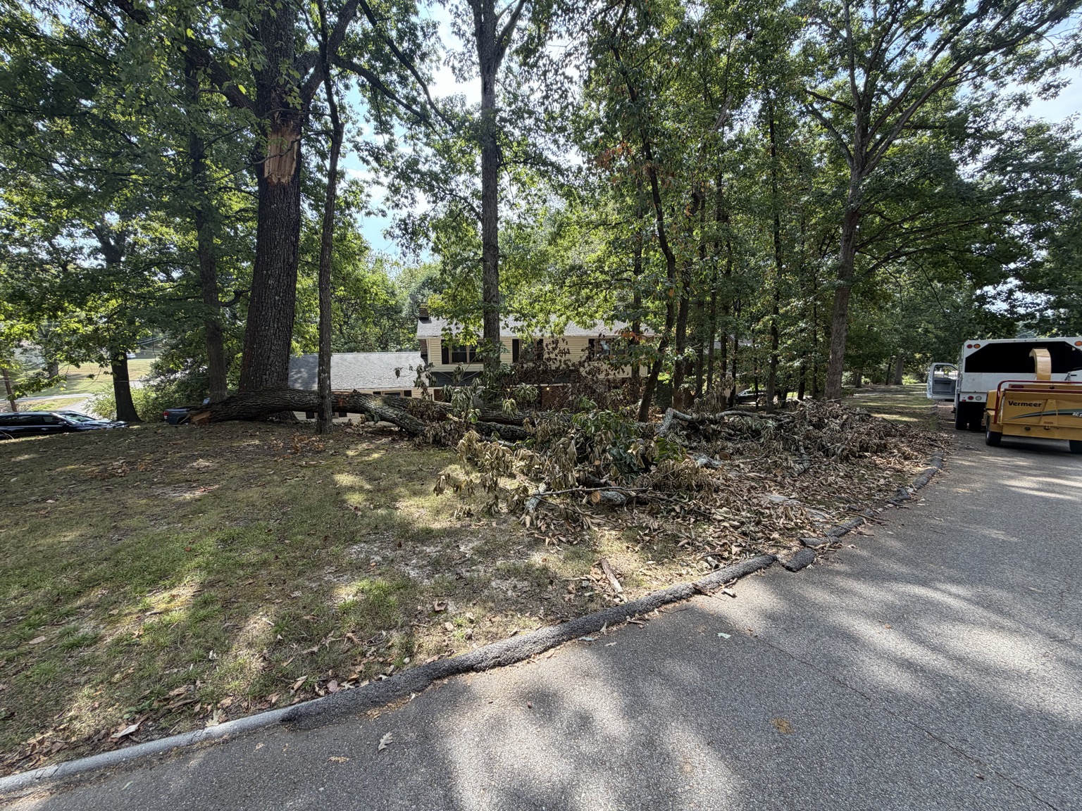 Large tree and debris ready for cleanup at a Knoxville property