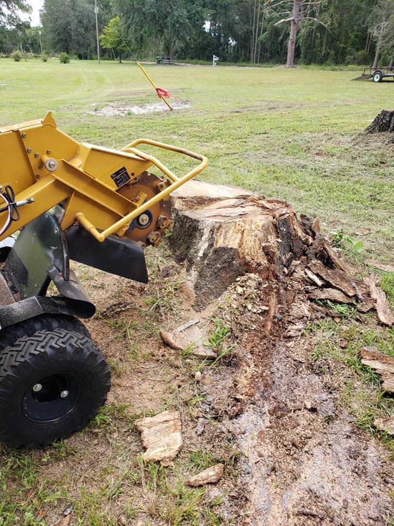 Stump grinder cutting a large stump down into chips in a Knoxville yard